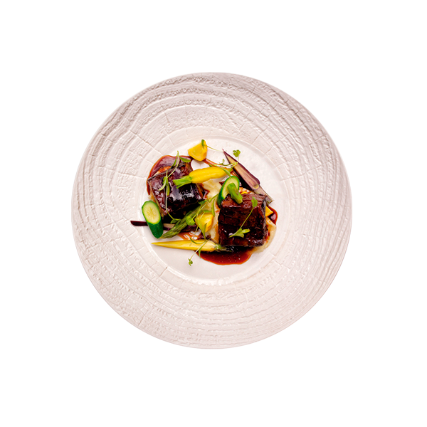 plate nayara springs