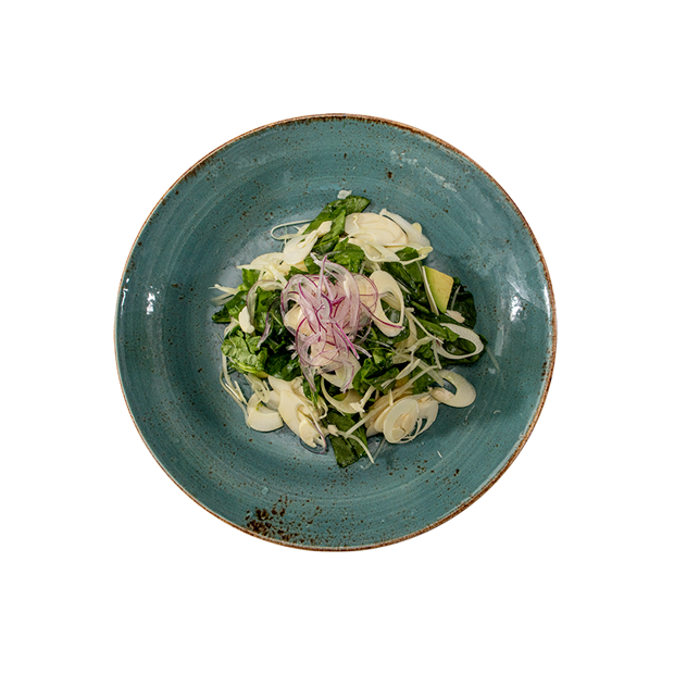 plate nayara springs